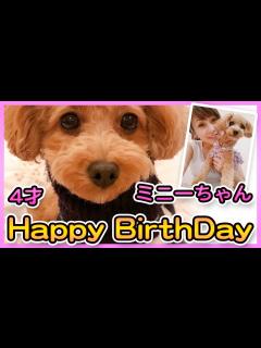 [x]【愛犬ミニーちゃん】4才のお誕生日おめでとう！【渡辺美奈代】 - YouTube