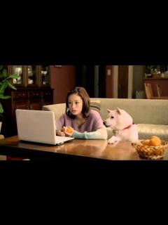[x]上戸彩 SoftBank 白戸家「津々浦々」篇 - YouTube
