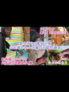 [x]シイタケが一晩で毒キノコに変化した/集会所2にネットは引けるのか/電気配線/慣れてきた夜泣き猫 - YouTube