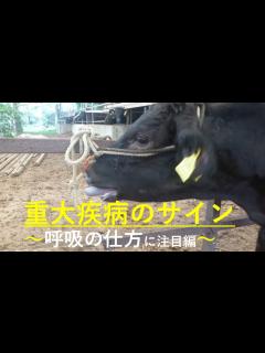 [x]重大疾病を見逃さないために～呼吸様式編～ - YouTube