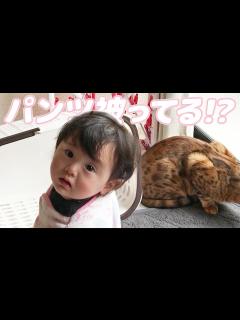 [x]ママのパンツでいないいないばあをする娘 - YouTube
