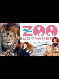 [x][かみね動物園]茨城県の有名動物園へ！新しくできた猛獣舎をはじめ、ゾウ、カバと会おう！広大な敷地に動物多すぎ/ Hitachi - YouTube