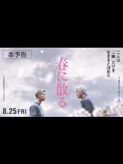 [x]映画『春に散る』本予告 8.25公開 - YouTube