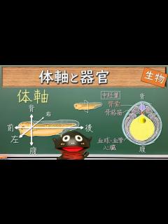 [x]地味な内容？でも知らないと器官形成は理解できない！？体軸と器官【142生物】 - YouTube