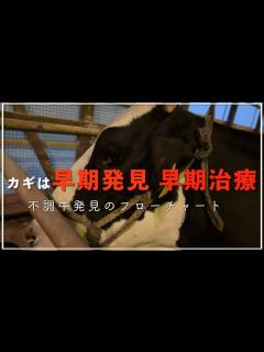[x]牛のどこを見ればいい？不調牛の見つけ方。観察のフローチャート付き。 - YouTube