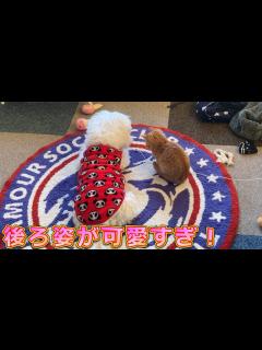 [x]遊んでる後ろ姿が可愛すぎるふたり - YouTube