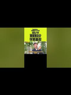 [x]関根勤名優モノマネシリーズ#shorts #宇津井健 #千葉真一 #ジャイアント馬場 #タモリ #明石家さんま #萩本欽一 #長嶋茂雄 ...