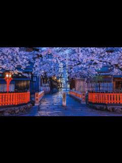 [x]4K 京都の桜名所と穴場34箇所 : Japan Kyoto Cherry Blossom Spot 34（sakura) - YouTube