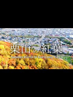 [x]【ドローン映像】秋/御大師山と栗山公園の紅葉@北海道栗山町 - YouTube