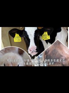 [x]畜試紹介ビデオ - YouTube