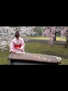 [x]さくら(Sakura) 25絃箏 (25 strings koto) - YouTube