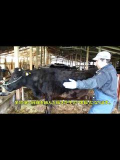 [x]牛の各部位の名称 The name of each part of a cow - YouTube