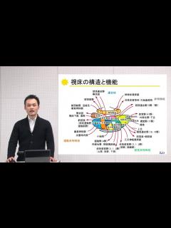 [x]10分でわかる脳の構造と機能vol.9「視床・視床下部」‐畿央大学ニューロリハビリテーション研究センター‐ - YouTube