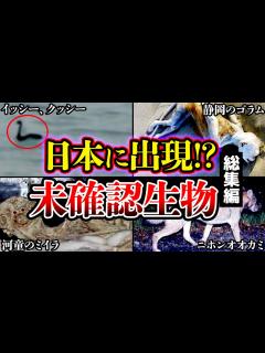 [x]日本に実在する謎のUMA・未確認生物たちについてまとめ【ゆっくり解説