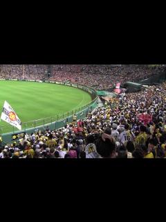 [x]くたばれ読売そーれいけいけ（伝統の一戦で） ＠甲子園 20190529 - YouTube