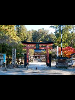 [x]神社 の 写真 - 丹生川上神社公式サイト - nunu mina