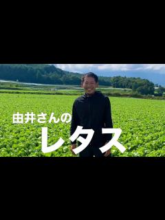 [x]【旬の美味しさにこだわる旬すぐ（国産100％）】（長野県川上村）鮮度抜群で瑞々しいレタス - YouTube