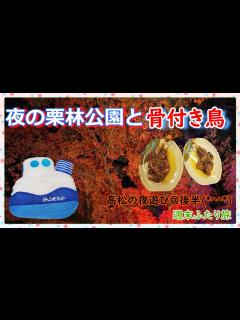 [x]栗林公園のライトアップを楽しんで🍁名物『骨付き鳥』も楽しんで🐔高松駅周辺のライトアップも楽しんでから🎶『ジャンボフェリーあおい🛳️』で帰ります ...