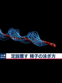 [x]「精子は回転しながら前進」 300年以上の定説を覆す イギリスなど研究（2020年8月3日） - YouTube
