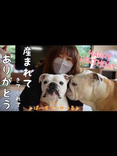 [x]目に入れても痛くない愛娘が誕生日をお迎えたので盛大にお祝いしました！ - YouTube