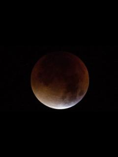 [x]スーパームーン、皆既月食と重なる - BBCニュース