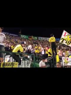 [x]甲子園でのくたばれ読売 - YouTube