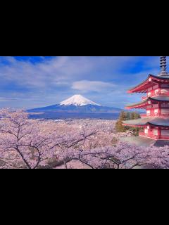 [x]外国人に大人気！日本を象徴するもの3つが一度に撮れる秘密のスポット｜ZEKKEI Japan