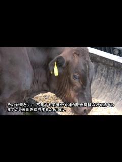 [x]スマート農業推進フォーラム2020（～放牧子牛の成長を見える化する～自動体重計測システム） - YouTube