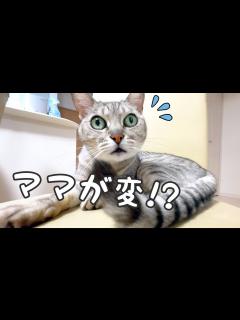 [x]ママがおかしくなった！？ - YouTube