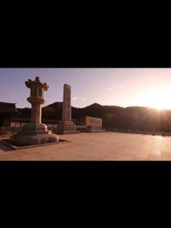 [x]佛教之王堂の四季 念佛宗総本山無量壽寺 インスタグラム1月まとめ The Royal Grand Hall of Buddhism ...