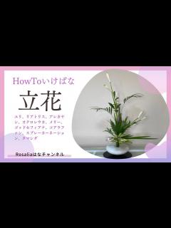 [x]【いけばな/Ikebana/池坊】新種のユリ？新美白を使って立花正風体【flower】 初夏 【生け方 How to make】 - YouTube