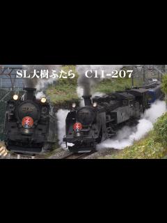 [x]秋の日光路・鬼怒川路を行く C11-207 SL大樹「ふたら」 - YouTube