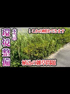 [x]植え込みから生える雑草をキレイにする為の解決策とは？【庭師が解説】 - YouTube