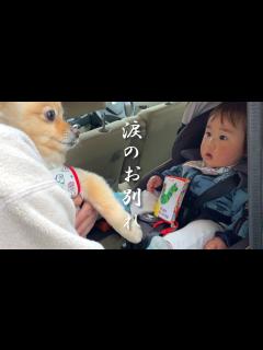 [x]我が子のように可愛がってきた甥っ子とお別れの日がやってきました… - YouTube