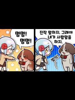 [x]『견자희』왈왈.. 왈왈왈..? - YouTube