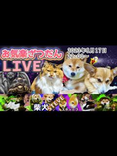 [x]ざつだん配信 - YouTube