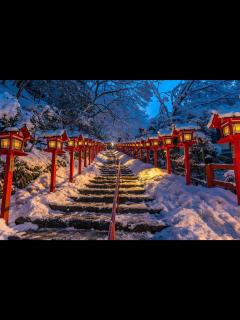 [x]2019日本全境冬季旅游景点推介|富士山|参拜|河口湖_新浪新闻