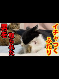 [x]元彼がイチャつくのを横目で寂しそうに見る幸子 - YouTube