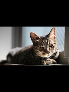 [x]皆様にお願いがあります。 - YouTube