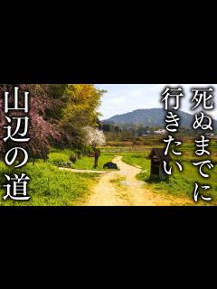 [x]【日本最古の道】山の辺の道、春の絶景スポット 24選｜天理→大神神社 - JAPAN in 8K - YouTube