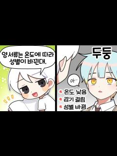 [x]『견자희』= 양서류 ????? - YouTube