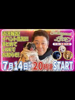 [x]リハビリ中のハル君やコウタ君・サリー君も登場！お台場冒険王2023にさかがみ家カフェが登場！？新しいワンちゃんグッズもお見せします ...