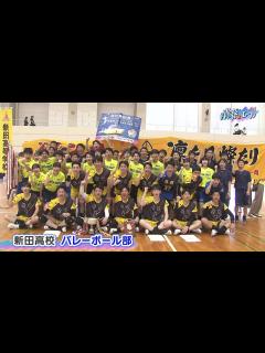 [x]【高校総体2024】新田高校 バレーボール部 #青春にエール - YouTube
