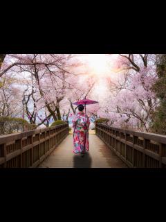 [x]A rough guide to some of the best places to visit in Japan | KAYAK