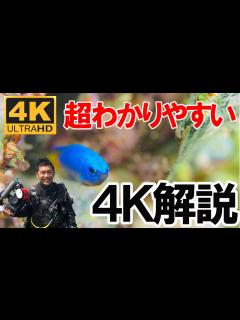 [x]【今さら聞けない】4Kって何？基礎知識を解説！～実際の比較映像あり～ - YouTube