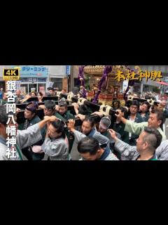[x]【銀杏岡八幡神社】担ぎが違う浅一西！ ～2024年本社神輿～ - YouTube