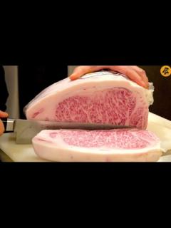 [x]日本：1500元一斤的顶级A5和牛，现场制作，详解日本的和牛文化_高清1080P在线观看平台_腾讯视频