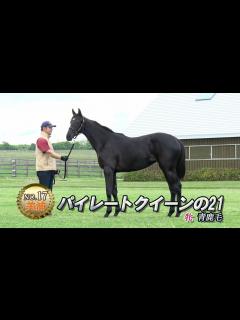 [x]No.17 パイレートクイーンの21 - YouTube
