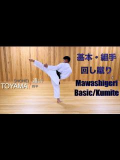 [x]Basic Kumite: From Basic Mawashigeri to Kumite Mawashigeri 基本回し蹴りから組手 ...