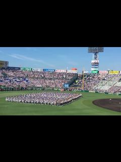 [x]2016夏 第98回 全国高校野球選手権大会 「開会式」 入場行進 (アルプス席から) - YouTube